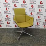 Senator 'Phoulds' Shell Reception Chair